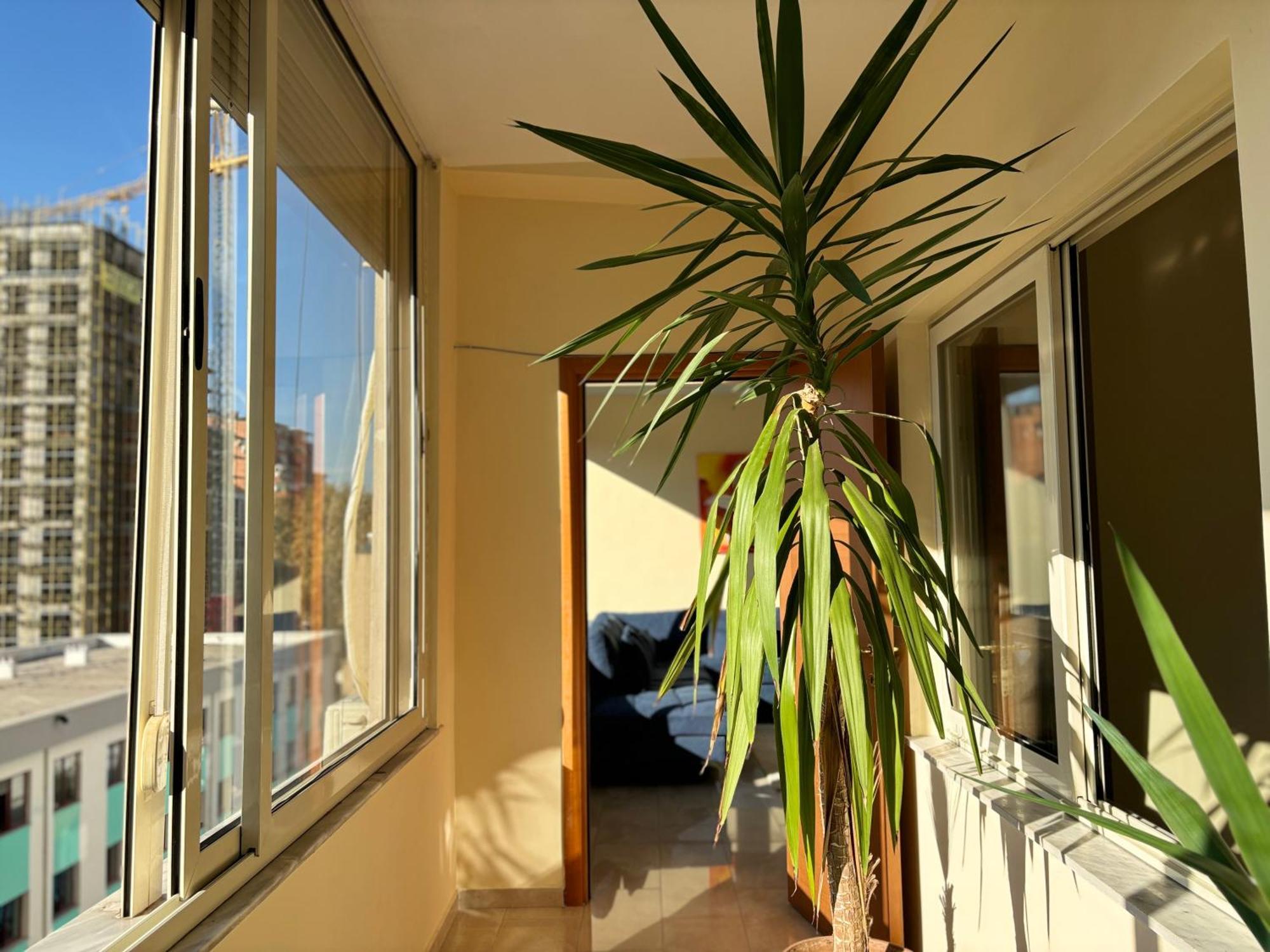 Tam 2Bdr Center Taiwan Apartment Тирана Экстерьер фото